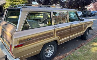 Jeep-grand-wagoneer-1989-brown-5