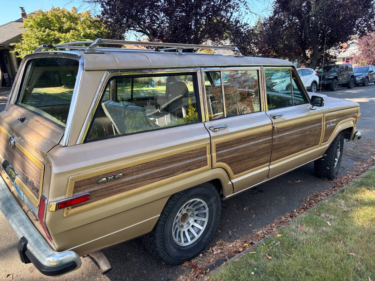Jeep-grand-wagoneer-1989-brown-5