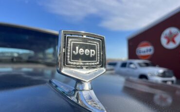 Jeep-grand-wagoneer-1989-grey-11
