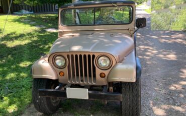 Jeep-m38a1-1964-brown-3