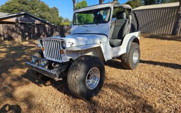 Jeep-mb-1943-white-1