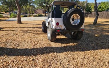 Jeep-mb-1943-white-10