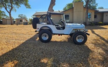 Jeep-mb-1943-white-6
