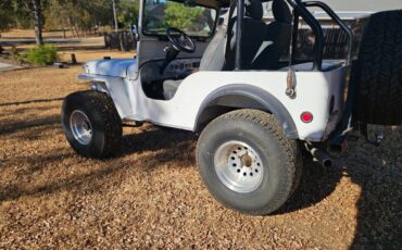 Jeep-mb-1943-white-8