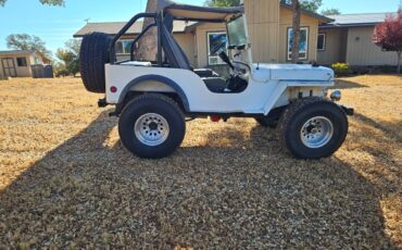 Jeep-mb-1943-white-9
