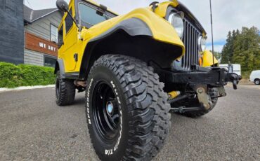 Jeep-willis-1966-yellow-9
