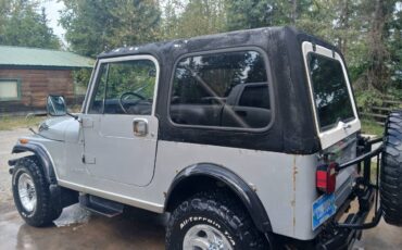 Jeep-wrangler-1983-silver-1