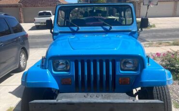 Jeep-wrangler-1989-blue-1
