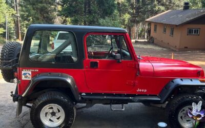Jeep wrangler 1991