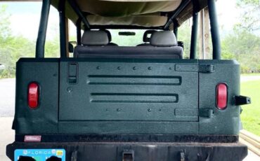 Jeep-wrangler-1992-green-4