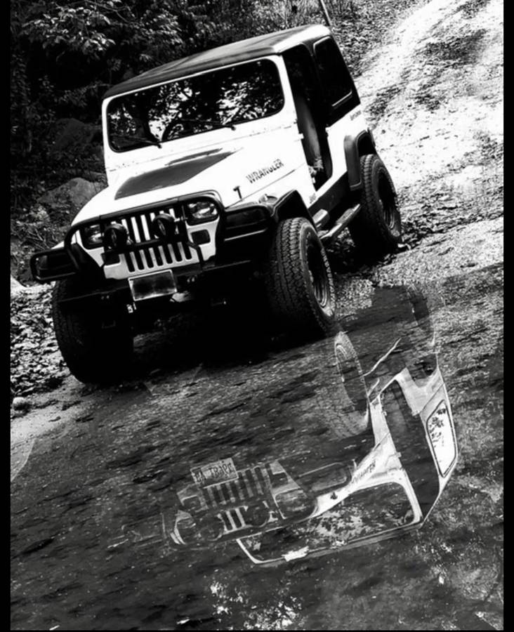Jeep-wrangler-1992-white-5