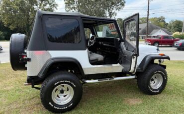 Jeep-wrangler-1993-white-14