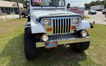Jeep-wrangler-1993-white-21
