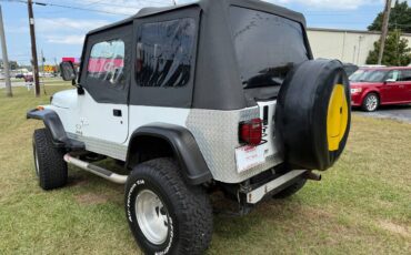 Jeep-wrangler-1993-white-23