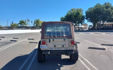 Jeep-wrangler-1994-10
