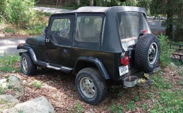 Jeep-wrangler-1994-13