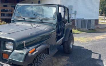 Jeep-wrangler-1994-3