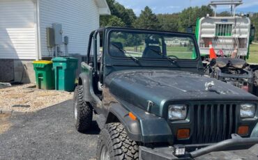 Jeep-wrangler-1994-4