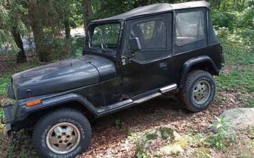 Jeep-wrangler-1994-5