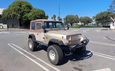 Jeep-wrangler-1994-6