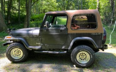 Jeep-wrangler-1994-green
