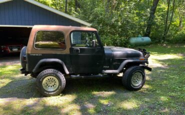 Jeep-wrangler-1994-green-8