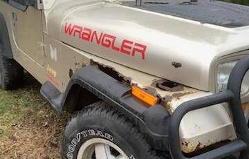 Jeep-wrangler-1995-brown-1