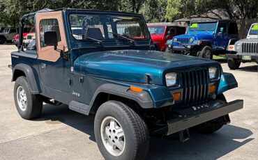Jeep-wrangler-1995-custom-10
