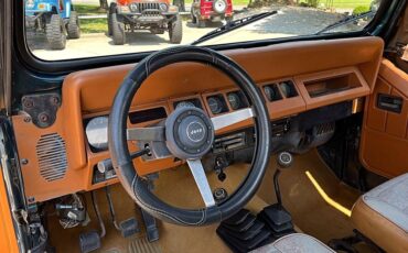 Jeep-wrangler-1995-custom-14