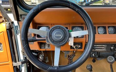 Jeep-wrangler-1995-custom-15
