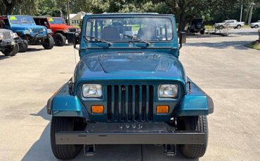 Jeep-wrangler-1995-custom-2