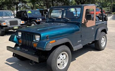 Jeep-wrangler-1995-custom-3