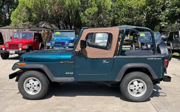 Jeep-wrangler-1995-custom-4
