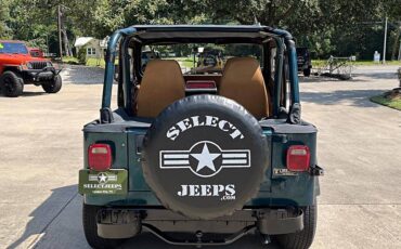 Jeep-wrangler-1995-custom-5