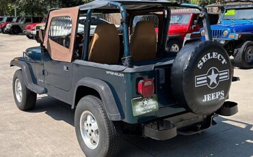 Jeep-wrangler-1995-custom-6