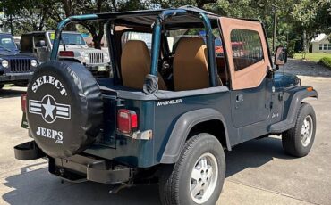 Jeep-wrangler-1995-custom-8