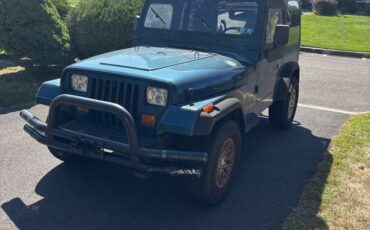 Jeep-wrangler-1995-green-11