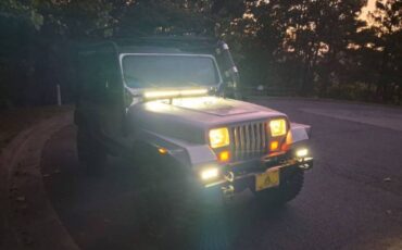 Jeep-wrangler-4x4-1988-silver-13