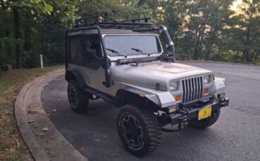 Jeep-wrangler-4x4-1988-silver-5