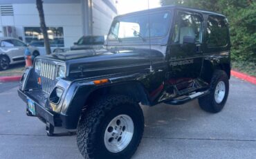 Jeep-wrangler-renegade-1991-black-3