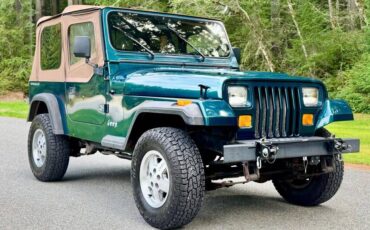Jeep-wrangler-rio-1995-green-17