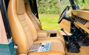 Jeep-wrangler-rio-1995-green-18