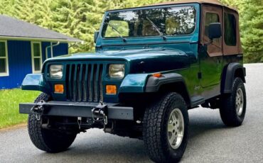 Jeep-wrangler-rio-1995-green-2
