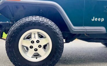 Jeep-wrangler-rio-1995-green-4