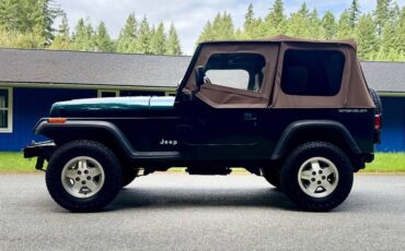 Jeep-wrangler-rio-1995-green-5