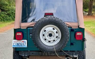 Jeep-wrangler-rio-1995-green-7