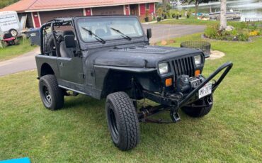 Jeep-wrangler-sahara-1993-black-2