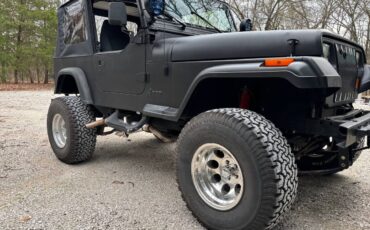 Jeep-wrangler-sahara-4x4-1995-custom-10
