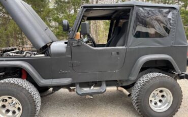 Jeep-wrangler-sahara-4x4-1995-custom-2
