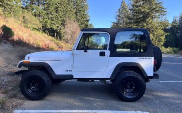 Jeep-wrangler-se-1993-white-9